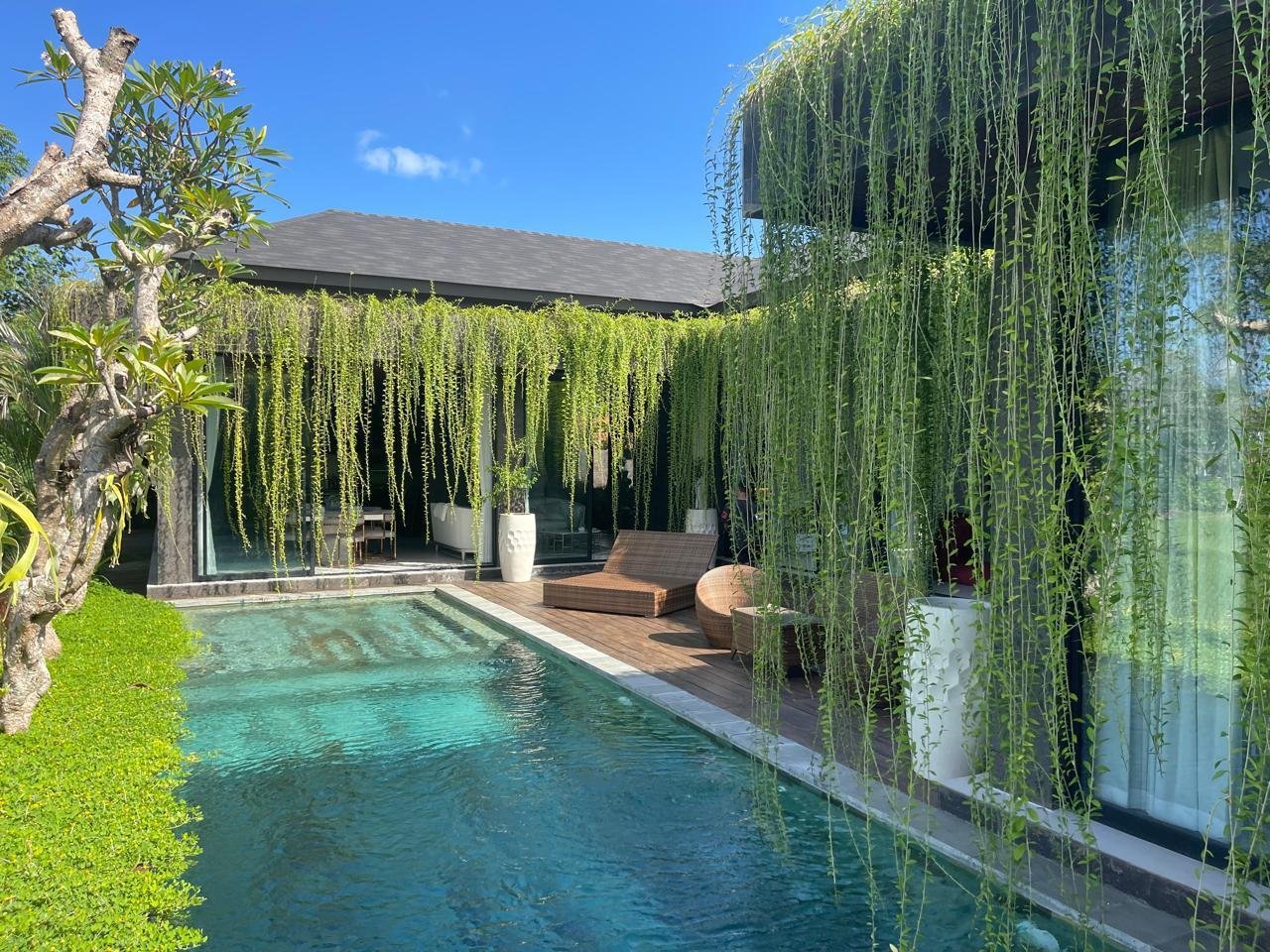 Leasehold 4 Bedroom Brand new Villa in Ubud with Stunning Ricefield View