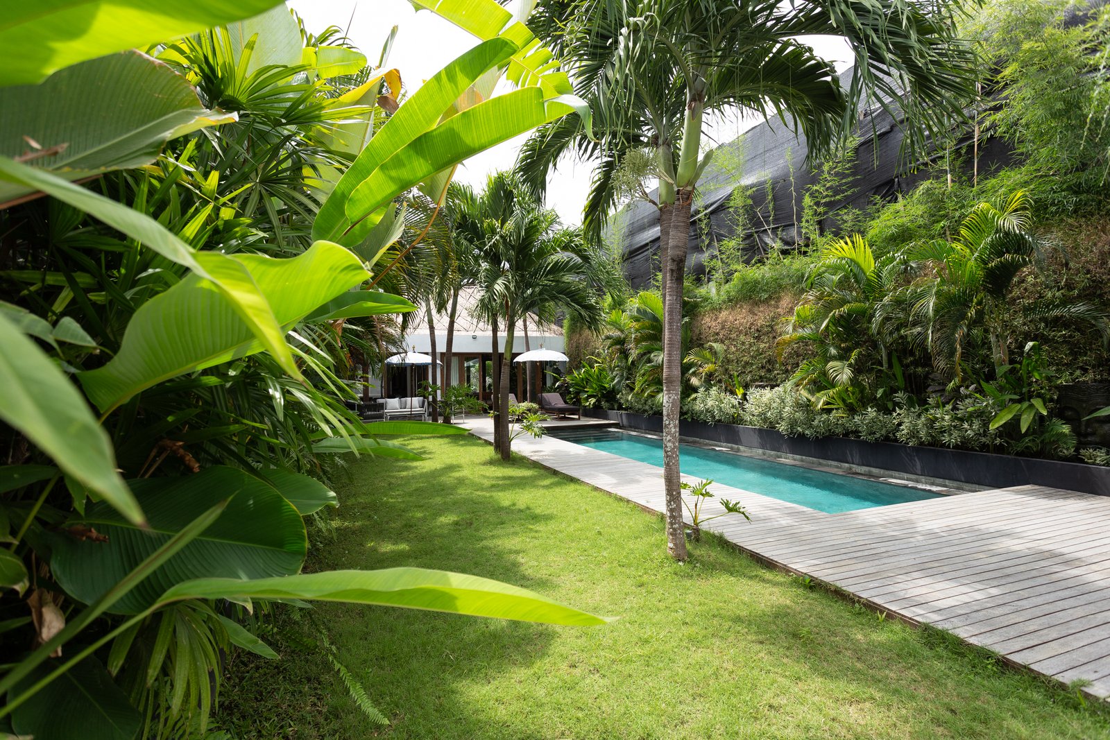 Modern Tropical Villa in Umalas with Private Pool & Spacious Garden in Umalas - Monthly & Yearly Rental